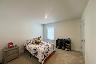 109 Steel Springs Ln, Angier, NC 27501 - Photo 30