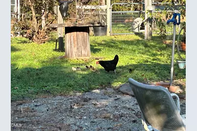 153 Ninovan Place, Rougemont, NC 27572 - Photo 16