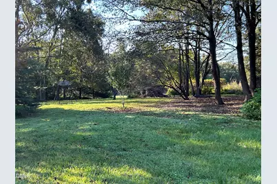 153 Ninovan Place, Rougemont, NC 27572 - Photo 24