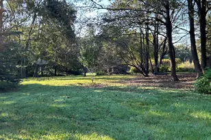 153 Ninovan Pl, Rougemont, NC 27572 - Photo 24