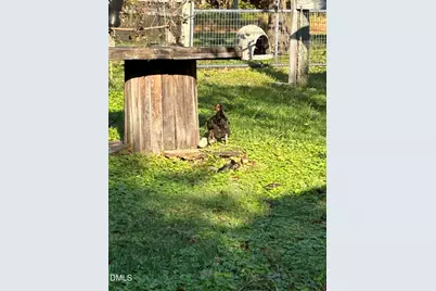 153 Ninovan Place, Rougemont, NC 27572 - Photo 18