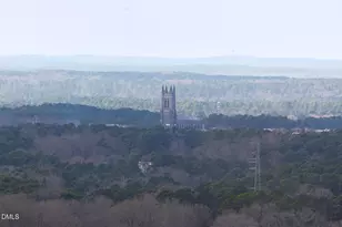 115 Morris St, Durham, NC 27701 - Photo 66