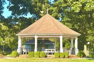 377 Pecan Vly Wy, Four Oaks, NC 27524 - Photo 30