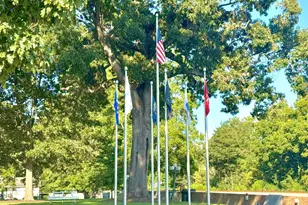 377 Pecan Vly Wy, Four Oaks, NC 27524 - Photo 30