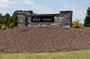 188 Black Forest Pointe Trl, Benson, NC 27504 - Photo 18