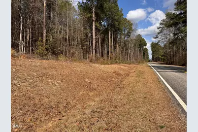 00 Loop Road, Bunnlevel, NC 28323 - Photo 4