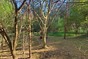 52 Go Cart Rd, Four Oaks, NC 27524 - Photo 58