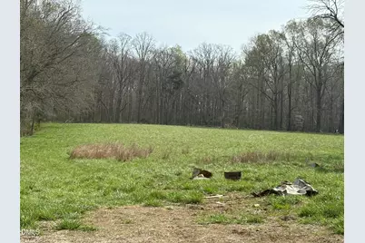 Lot 2 Winfred Brady Road, Bennett, NC 27208 - Photo 1