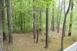 5 Peaceful Pl, Chapel Hill, NC 27517 - Photo 30