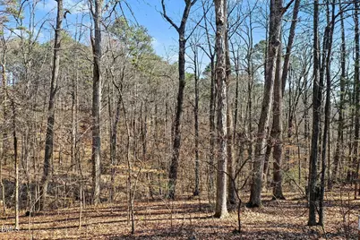 896 Monterey Valley Drive, Chapel Hill, NC 27516 - Photo 8