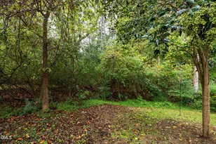 3230 Rowena Ave, Durham, NC 27703 - Photo 30