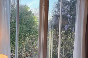 550 E Edenton St, Raleigh, NC 27601 - Photo 66