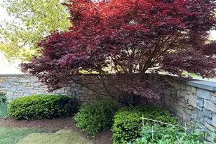 550 E Edenton St, Raleigh, NC 27601 - Photo 88