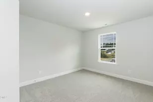 291 New Twin Br Ct, Smithfield, NC 27577 - Photo 22