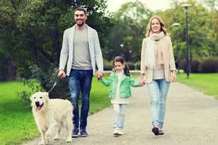 2219 Warbler Dr, Apex, NC 27539 - Photo 8