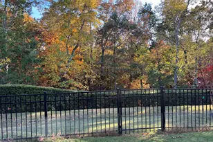 113 Rosedale Creek Dr, Durham, NC 27703 - Photo 58