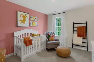 43 Hanging Elm Ln, Fuquay Varina, NC 27526 - Photo 24