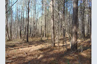 0 Cates Mill Road, Roxboro, NC 27574 - Photo 24