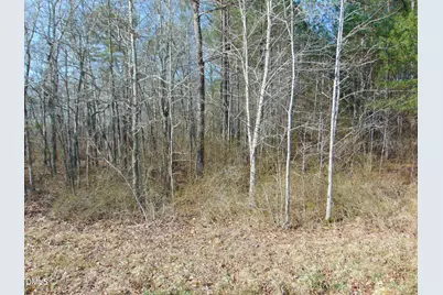 0 Cates Mill Road, Roxboro, NC 27574 - Photo 18