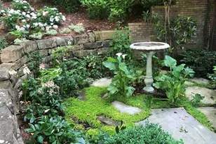 50211 Manly, Chapel Hill, NC 27517 - Photo 76