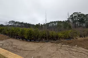 216 Cedar Ridge Trail, Angier, NC 27501 - Photo 8