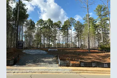 490 Chapel Ridge Drive, Pittsboro, NC 27312 - Photo 2