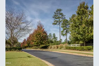 490 Chapel Ridge Drive, Pittsboro, NC 27312 - Photo 8