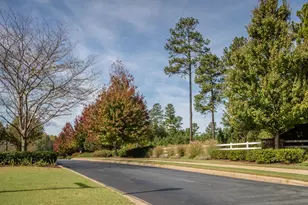 490 Chapel Ridge Dr, Pittsboro, NC 27312 - Photo 8