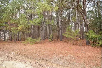 Parcel #3 Bob Lee Lane, Dunn, NC 28334 - Photo 2
