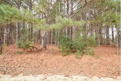 Parcel #3 Bob Lee Lane, Dunn, NC 28334 - Photo 4