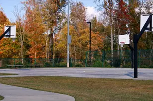 312 Karpen Ln, Cary, NC 27519 - Photo 94