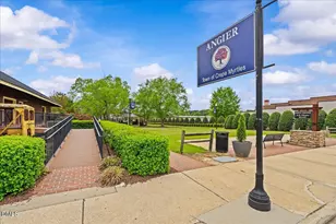 62 Amaryllis Ln, Angier, NC 27501 - Photo 24
