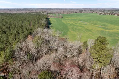 3015 Staley Snow Camp Road, Siler City, NC 27344 - Photo 28