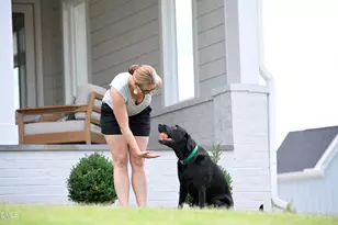 143 Parkland Dr, Pittsboro, NC 27312 - Photo 36