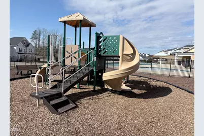 3353 Table Mountain Pine Drive, Raleigh, NC 27616 - Photo 48