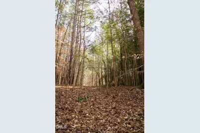 7023 Southern Trail, Chapel Hill, NC 27516 - Photo 2