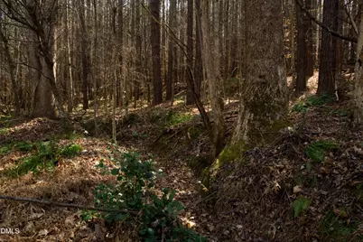 7023 Southern Trail, Chapel Hill, NC 27516 - Photo 6