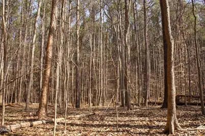 7023 Southern Trail, Chapel Hill, NC 27516 - Photo 1