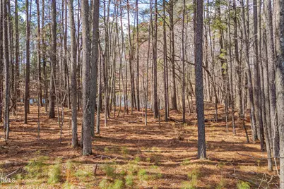 2042 Florine Drive, Apex, NC 27502 - Photo 6