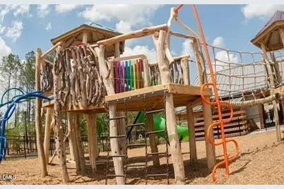 221 Thunder Forest Lane, Wendell, NC 27591 - Photo 38