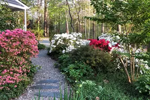 9906 Oak Hollow Rd, Chapel Hill, NC 27516 - Photo 54