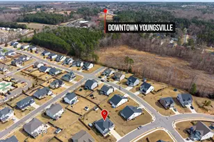 403 Porterfield Dr, Youngsville, NC 27596 - Photo 54