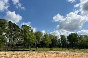 786 Olive Br Dr, Smithfield, NC 27577 - Photo 14
