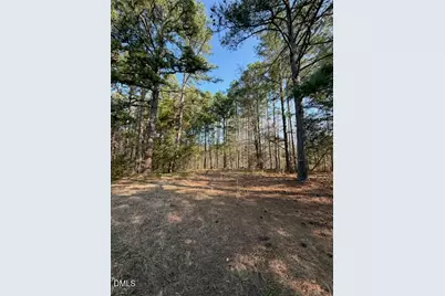 3629 Plantation Road, Bullock, NC 27507 - Photo 4