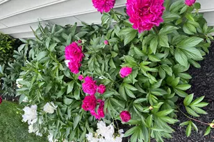 2103 Woodsdale Dr, Durham, NC 27703 - Photo 42