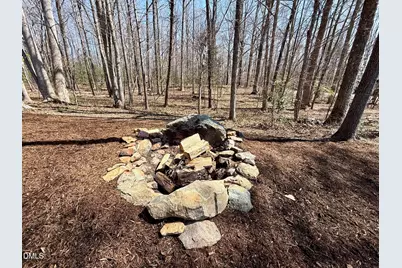 6450 Moores Mill Road, Rougemont, NC 27572 - Photo 52