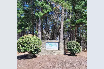 54 Caswell Pines Clubhouse Drive, Blanch, NC 27212 - Photo 2