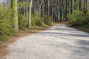 207 Baldy Murphy Rd, Louisburg, NC 27549 - Photo 2