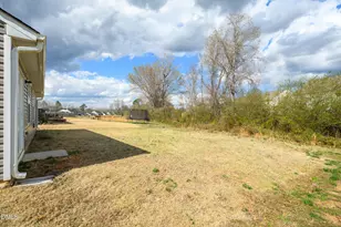 377 Rustling Way, Zebulon, NC 27597 - Photo 26