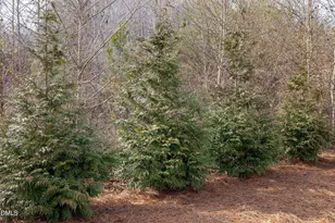 5 Anna Marie Way, Youngsville, NC 27596 - Photo 60